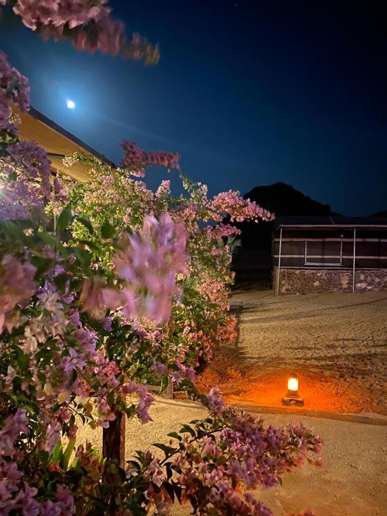 Hotel Moon Night Camp Wadi Rum Esterno foto