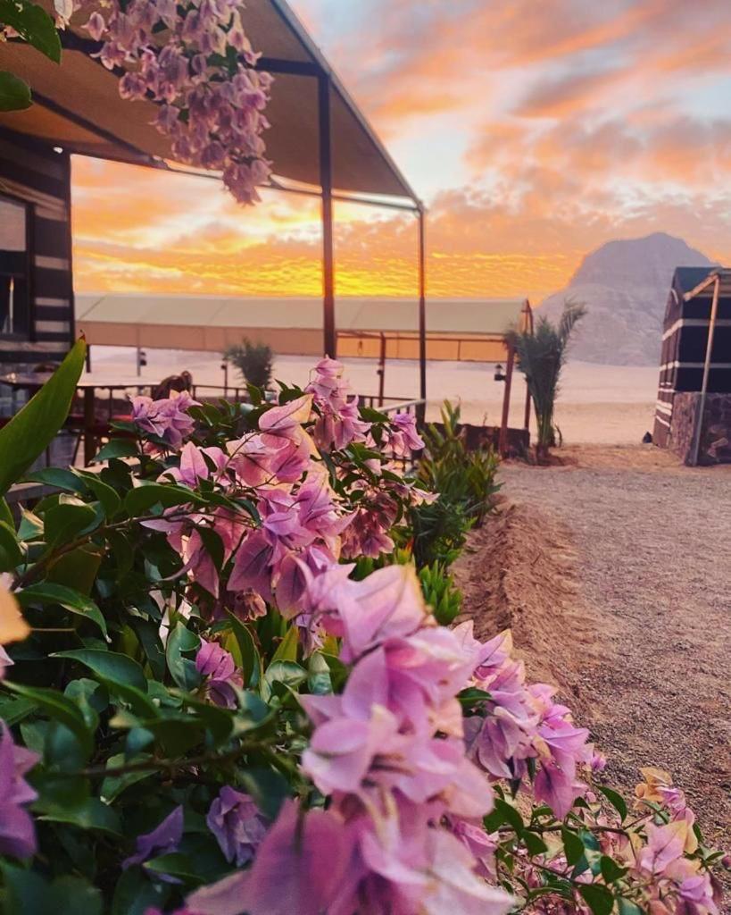 Hotel Moon Night Camp Wadi Rum Esterno foto