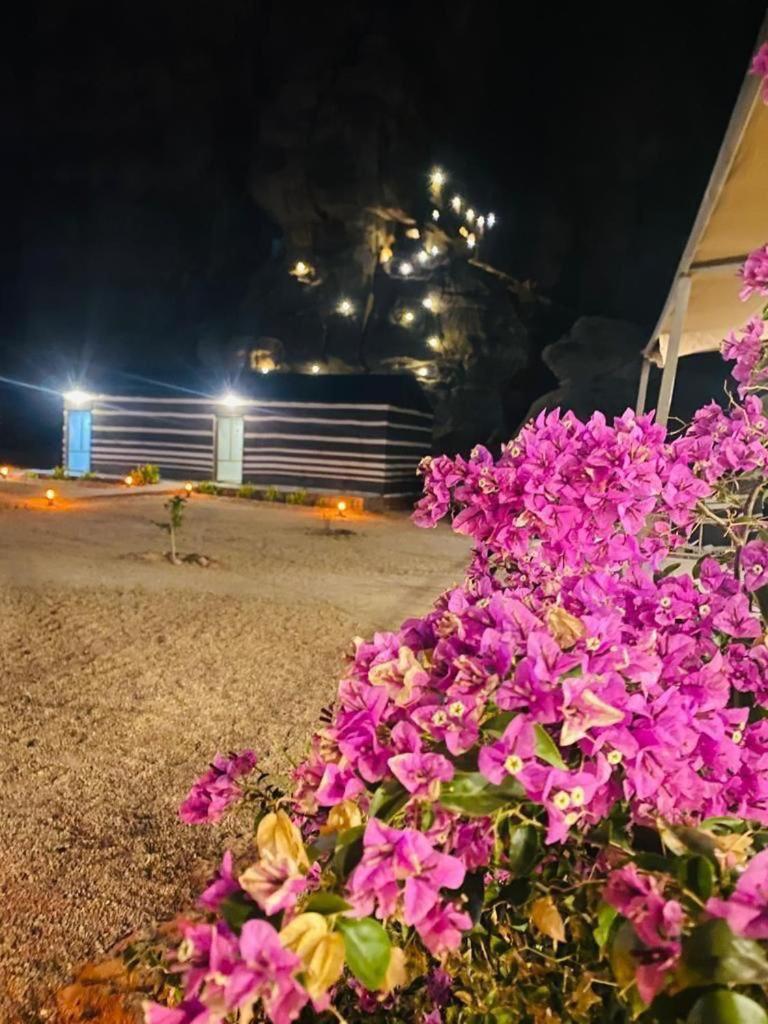 Hotel Moon Night Camp Wadi Rum Esterno foto